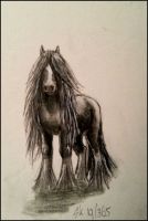 Hair, Lots of Hair